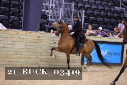 21_BUCK_03419 proof