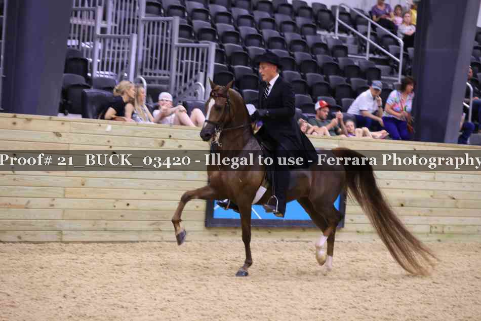 Proof 21_BUCK_03420