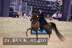 21_BUCK_03420 proof