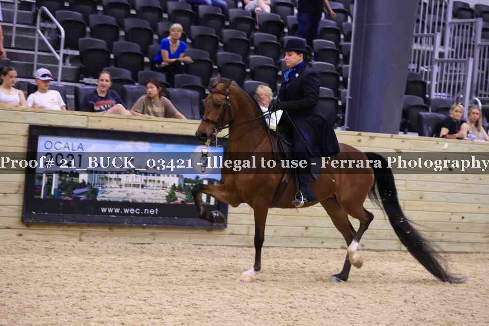 Proof 21_BUCK_03421