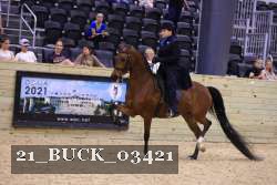 21_BUCK_03421 proof