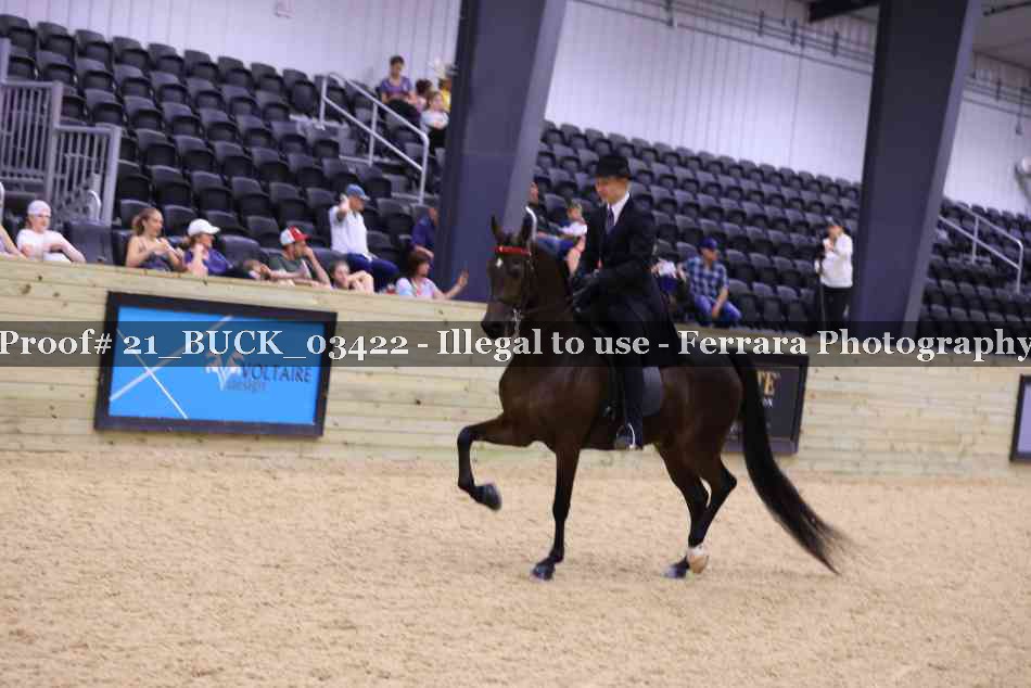 Proof 21_BUCK_03422