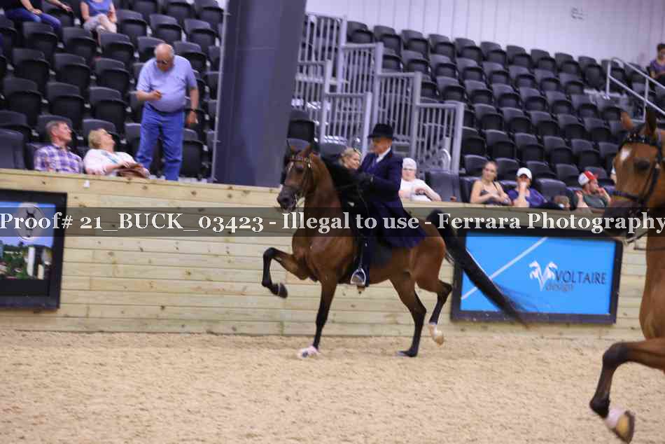 Proof 21_BUCK_03423