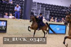 21_BUCK_03423 proof