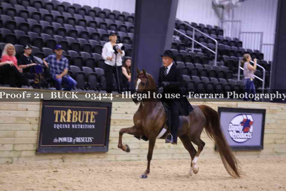Proof 21_BUCK_03424