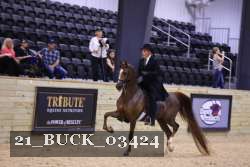 21_BUCK_03424 proof