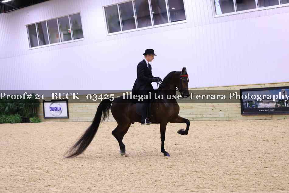 Proof 21_BUCK_03425