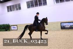 21_BUCK_03425 proof