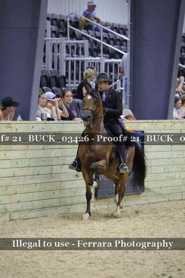 Proof 21_BUCK_03426