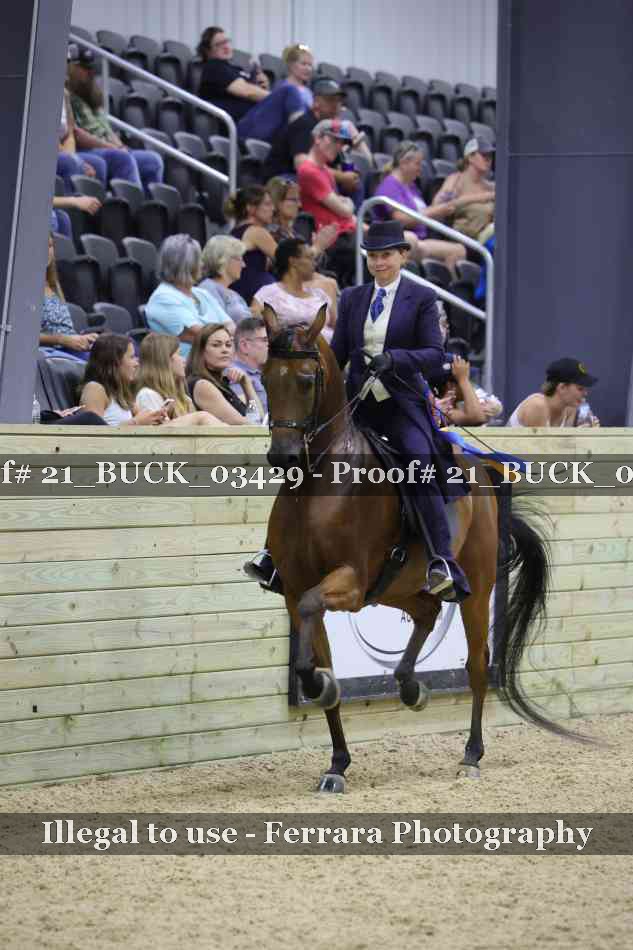 Proof 21_BUCK_03429