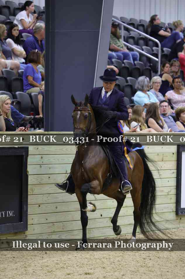 Proof 21_BUCK_03431