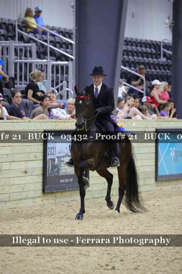 Proof 21_BUCK_03432