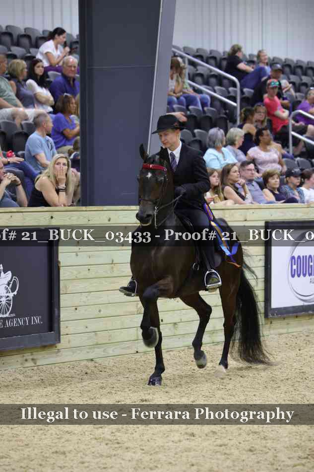 Proof 21_BUCK_03433