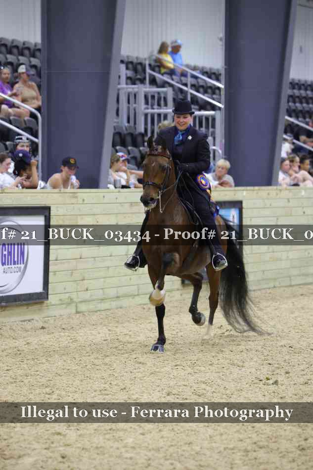 Proof 21_BUCK_03434