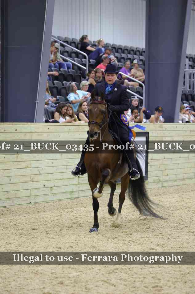 Proof 21_BUCK_03435