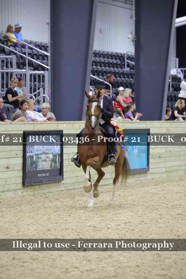 Proof 21_BUCK_03436