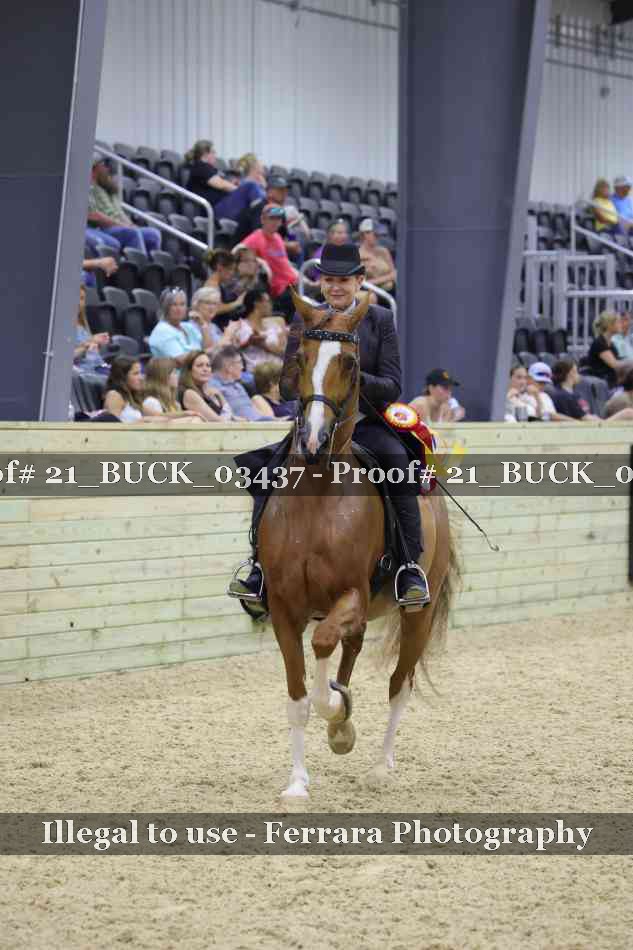 Proof 21_BUCK_03437
