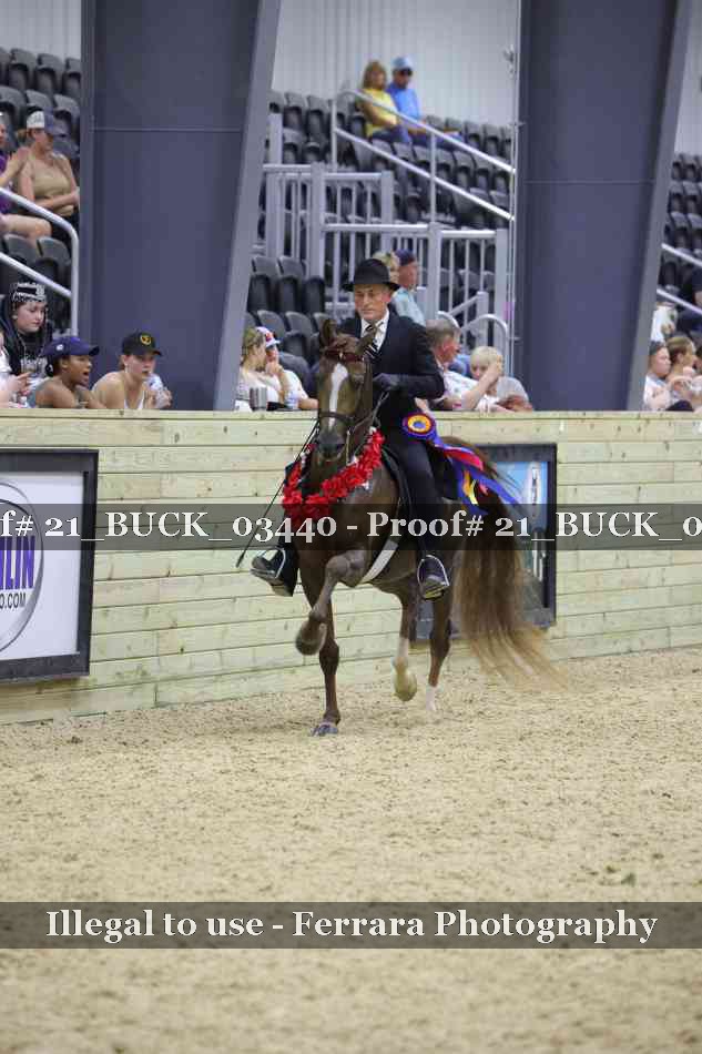 Proof 21_BUCK_03440