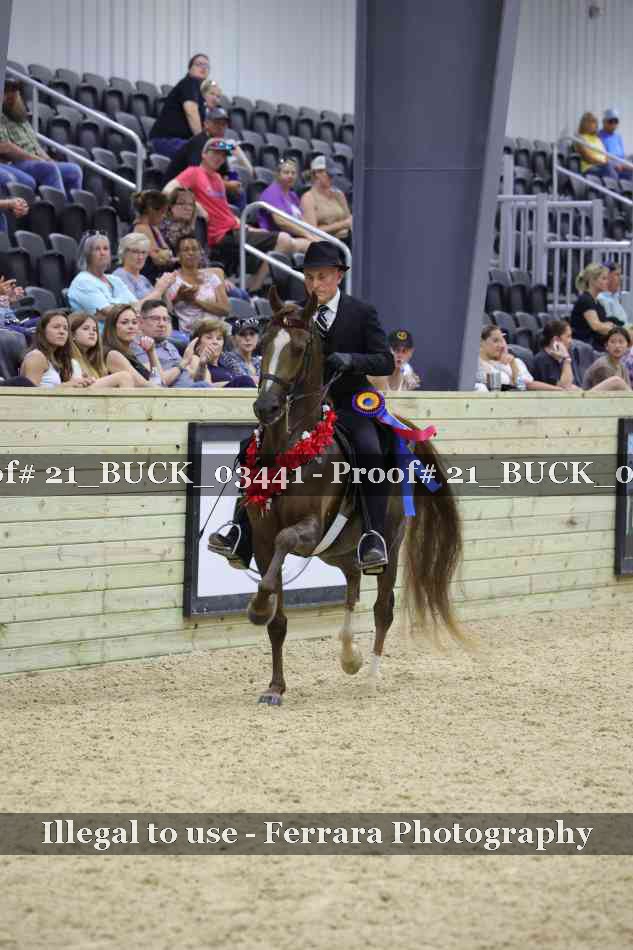 Proof 21_BUCK_03441