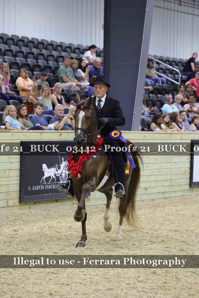 Proof 21_BUCK_03442