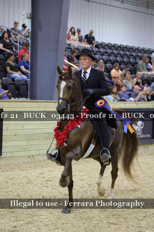 Proof 21_BUCK_03443