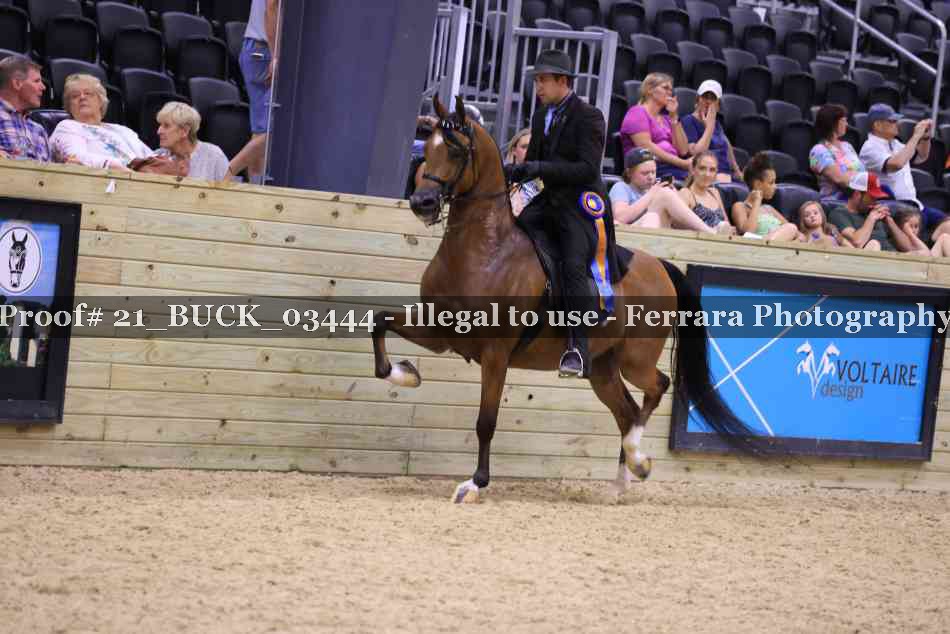 Proof 21_BUCK_03444