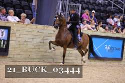 21_BUCK_03444 proof