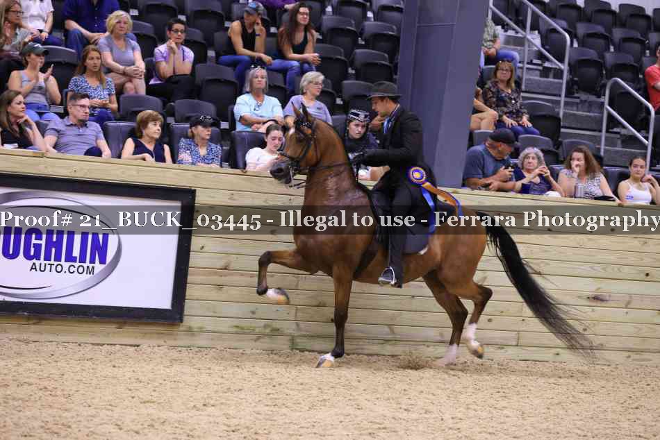 Proof 21_BUCK_03445