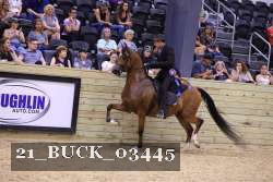21_BUCK_03445 proof