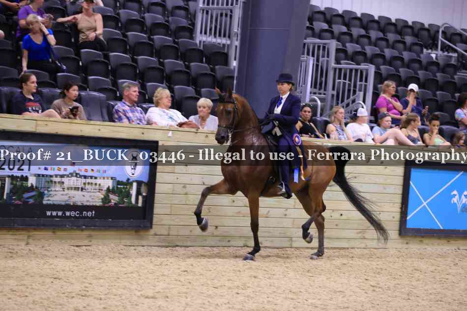 Proof 21_BUCK_03446