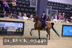 21_BUCK_03446 proof