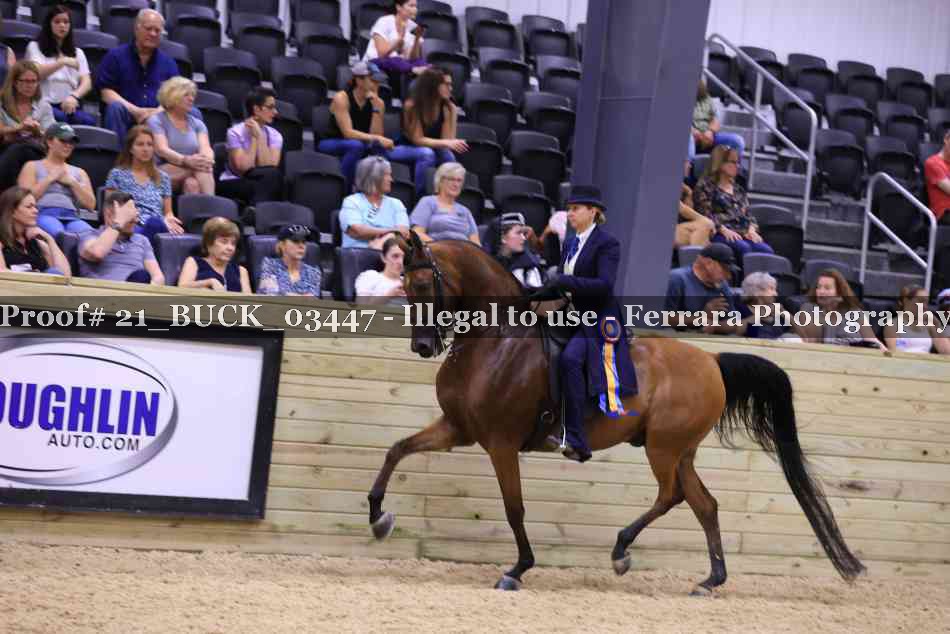 Proof 21_BUCK_03447