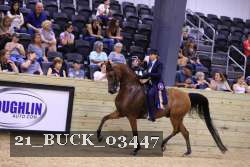 21_BUCK_03447 proof