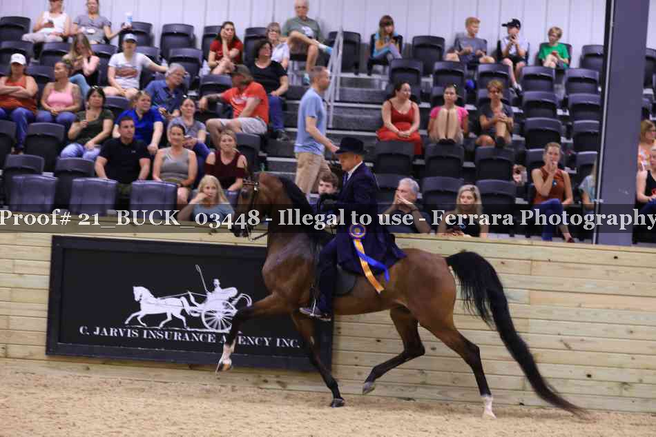 Proof 21_BUCK_03448