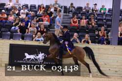 21_BUCK_03448 proof