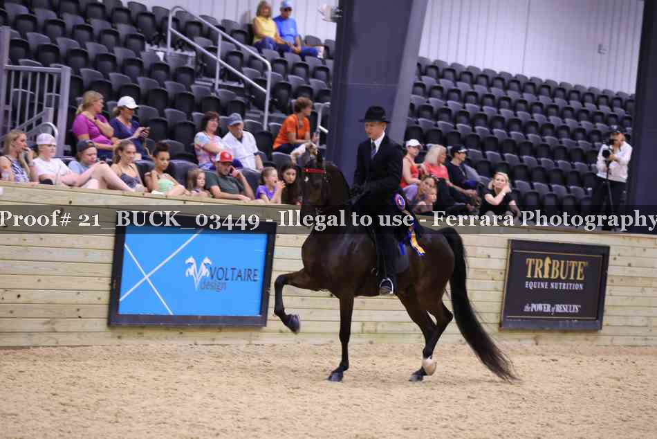 Proof 21_BUCK_03449