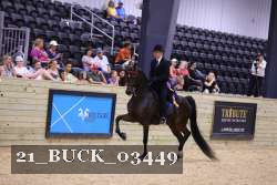 21_BUCK_03449 proof