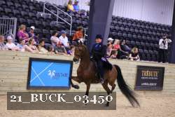 21_BUCK_03450 proof