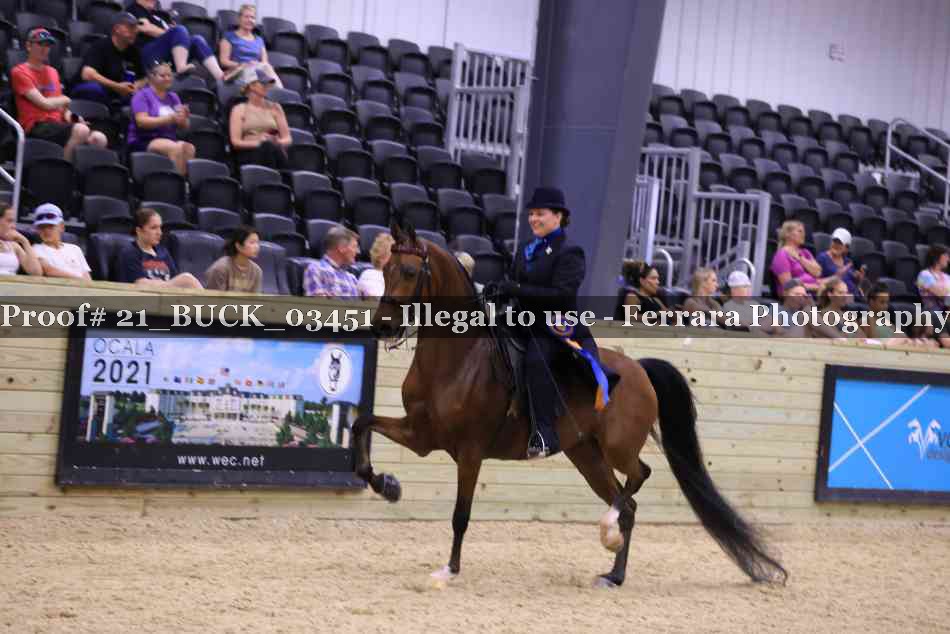 Proof 21_BUCK_03451