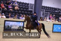 21_BUCK_03451 proof