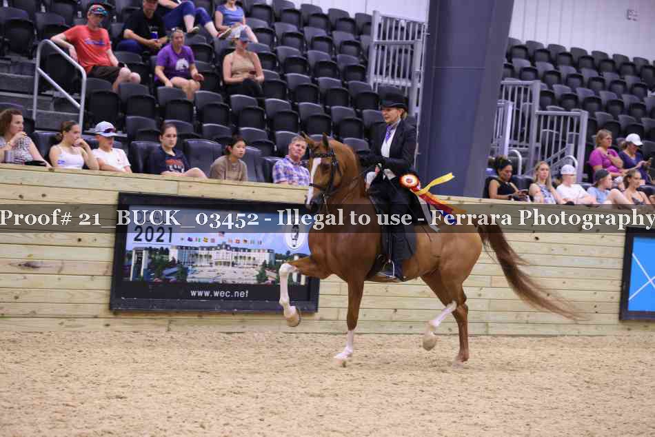 Proof 21_BUCK_03452