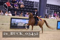 21_BUCK_03452 proof