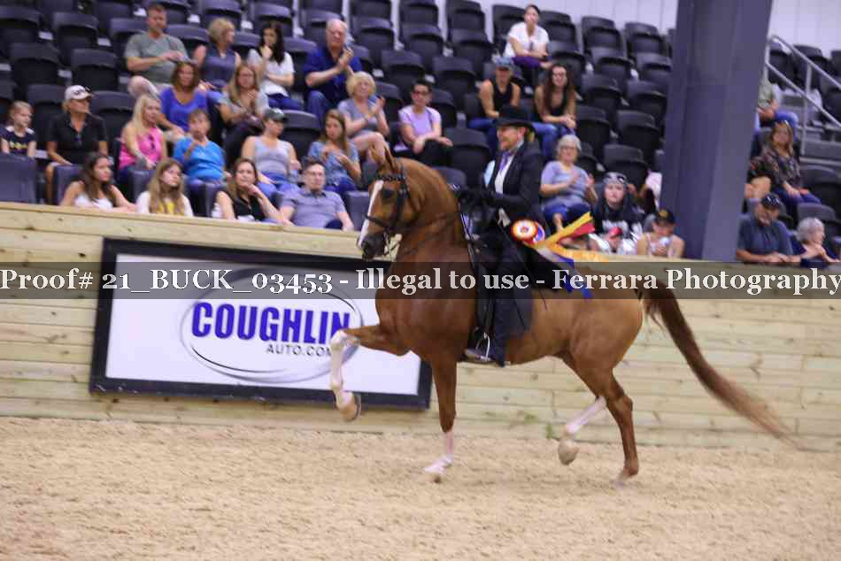 Proof 21_BUCK_03453