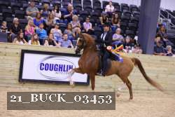 21_BUCK_03453 proof