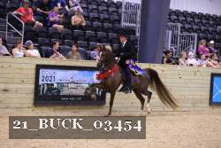 21_BUCK_03454 proof