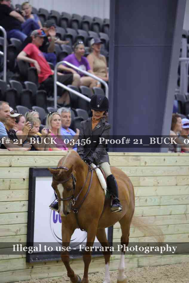 Proof 21_BUCK_03456