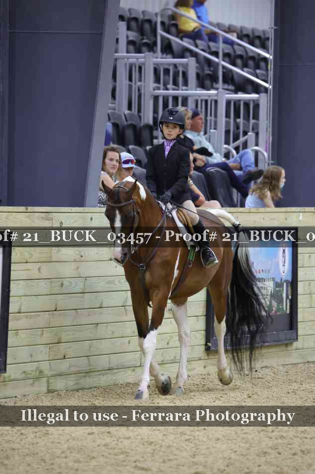 Proof 21_BUCK_03457