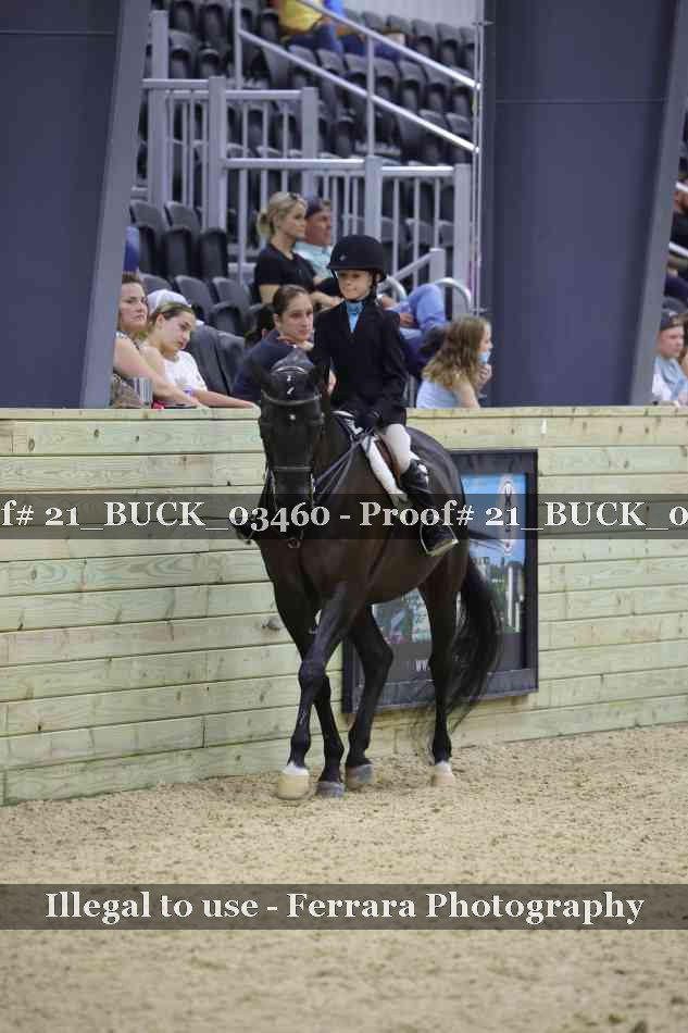 Proof 21_BUCK_03460