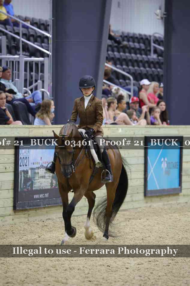 Proof 21_BUCK_03461