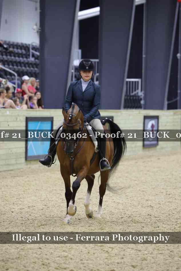 Proof 21_BUCK_03462